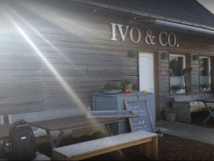 照片: Ivo &amp; Co
